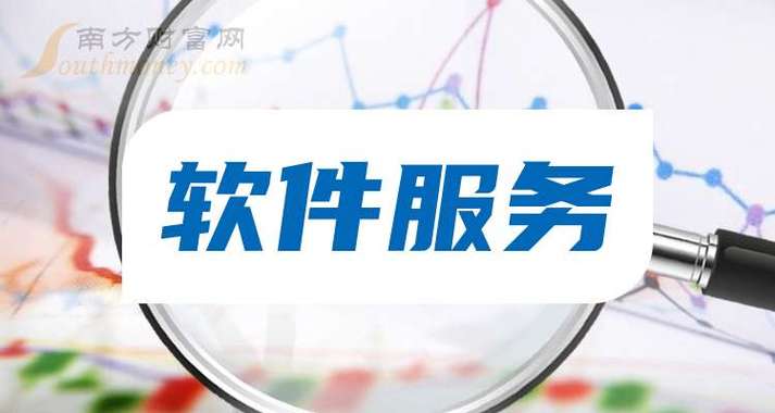 速看软件服务概念上市公司名单整理20241024